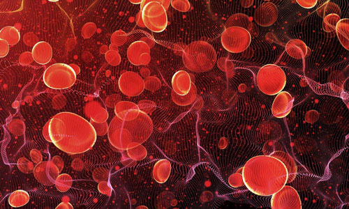 تری گلیسیرید بالا