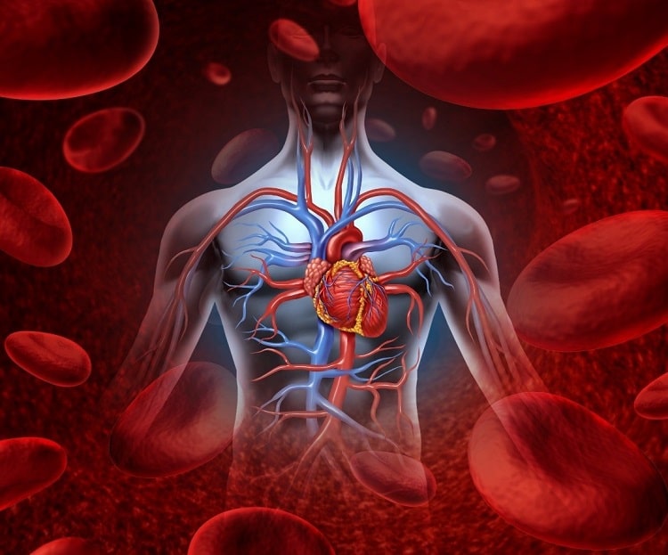 نارسایی قلب چه علت و علائمی دارد و درمان مناسب آن چیست؟ - متخصص قلب / دکتر  قلب